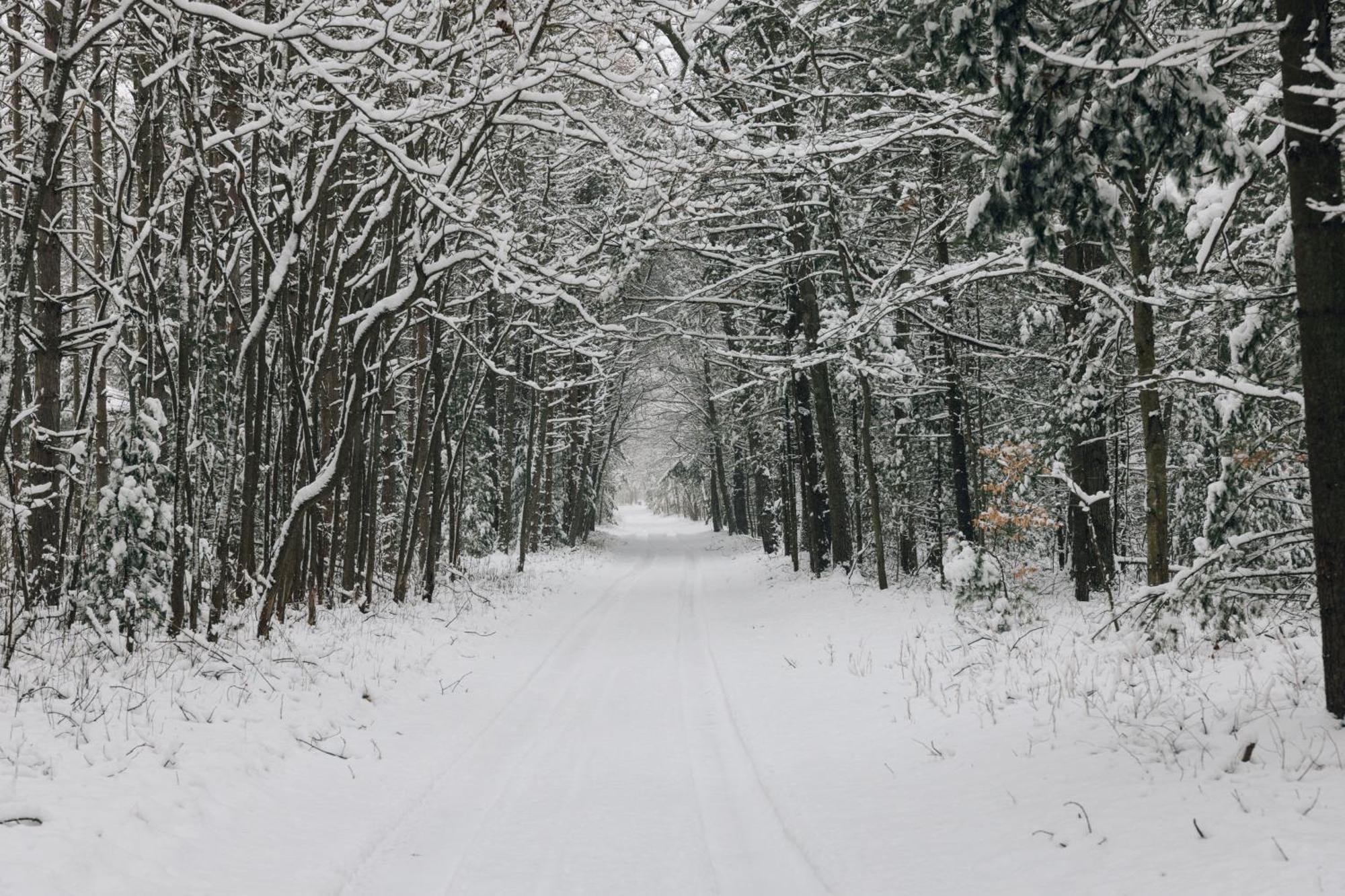 Scenic Drive Resort Muskegon Εξωτερικό φωτογραφία